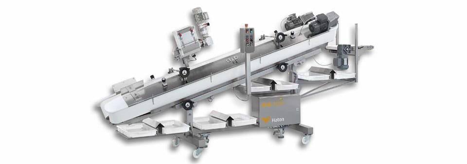 WP Haton BOB 3000 Industrial Belt Rounder | WP Bakery Group USA, Retail, Wholesale, Commercial Bakery Equipment and Industrial Bakery Equipment, Shelton, CT USA